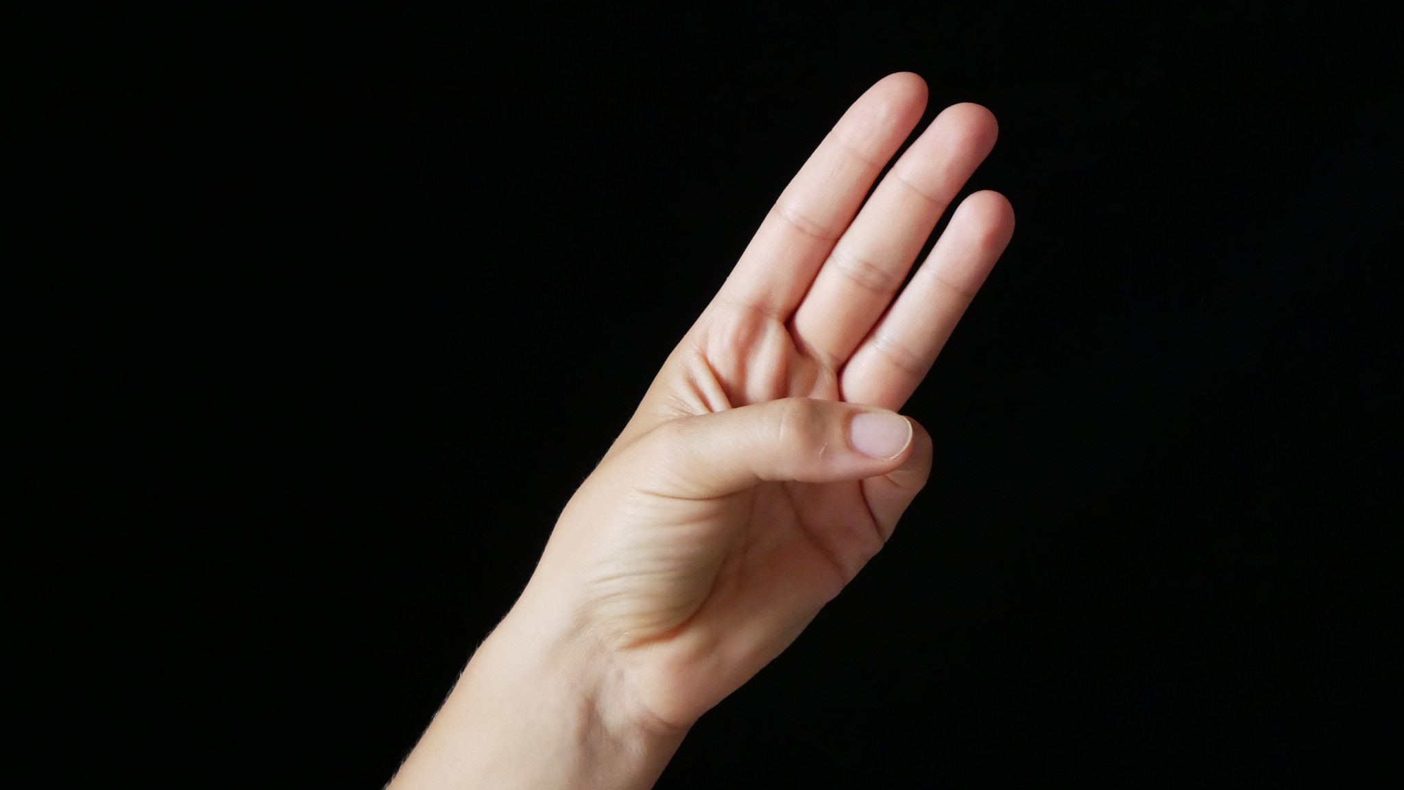 Bhudy Mudra